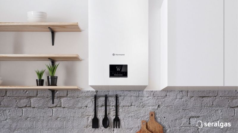 Calderas Hermann: comparación de modelos y precio